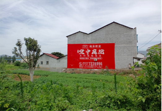 施秉做墙体广告的意义