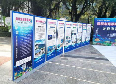 施秉KT板的种类和知识。